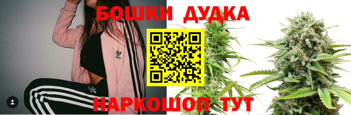 Шишки марихуана семена  Вход с VPN  Светлоград  Каннабис AK-47 